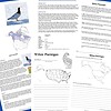 z-473-Willow-ptarmigan-preview-1.jpg Feeding habits and habitat worksheets for homeschool science, featuring detailed information about Willow Ptarmigan, their distribution, behavior, and reproduction, ideal for homeschooling science lessons.
