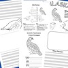 z-473-Willow-ptarmigan-preview-3.jpg Willow Ptarmigan science worksheet for homeschool and educational use, featuring coloring and classification activities, ideal for teaching bird species identification, science, and nature studies.