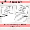 212 Story Writing Set A Dog's Day Wordless Stories and Literary Centers