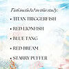 Copy-of-Fish-Profiles.zip-2.png Colorful underwater-themed homeschool educational resource with fish, coral, and ocean background for science studies.