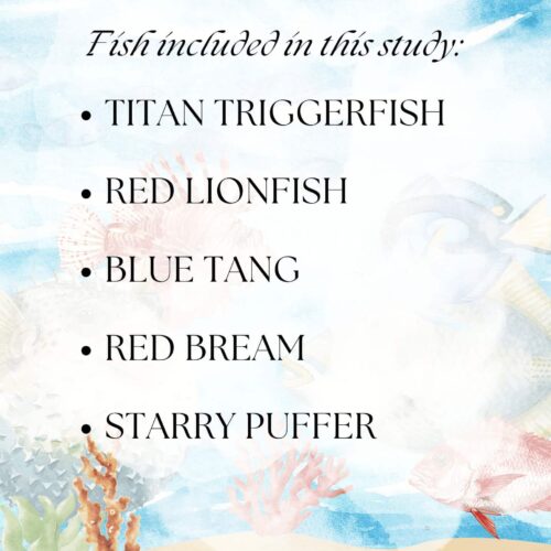 Colorful underwater-themed homeschool educational resource with fish, coral, and ocean background for science studies.