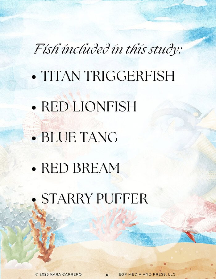Copy-of-Fish-Profiles.zip-2.png Colorful underwater-themed homeschool educational resource with fish, coral, and ocean background for science studies.