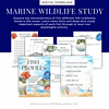 Copy-of-I-have-a-dream-vs-sewell-rhetorical-analysis.png Colorful fish educational materials for homeschool science, marine biology, and oceanography lessons, featuring fish profiles, anatomy, and deep-dive study activities.