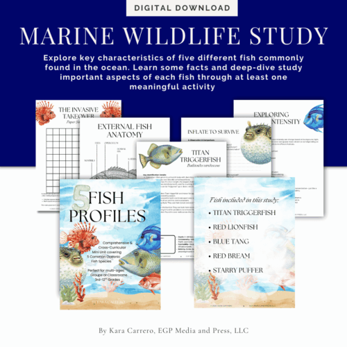 Copy-of-I-have-a-dream-vs-sewell-rhetorical-analysis.png Colorful fish educational materials for homeschool science, marine biology, and oceanography lessons, featuring fish profiles, anatomy, and deep-dive study activities.