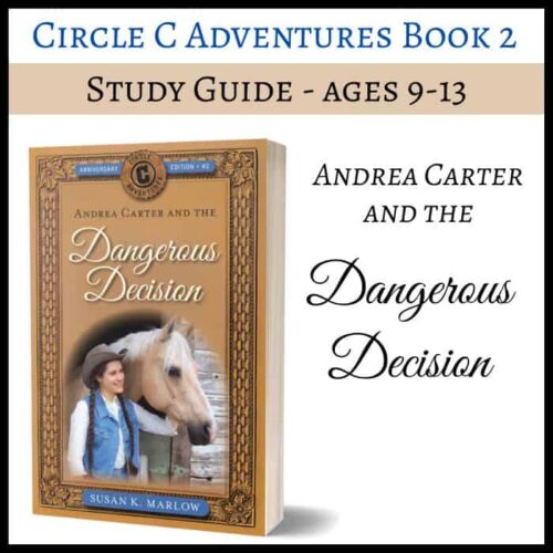 1. Homeschool study guide for ages 9-13 based on "Andrea Carter and the Dangerous Decision," perfect for homeschooling families seeking engaging educational resources.