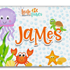 James LF book image James Little Fishes Bible Study