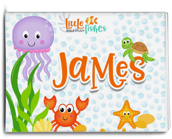 James LF book image James Little Fishes Bible Study