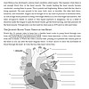LR2 1. Engaging homeschool heart health activity with an interactive heart diagram, educational video, and myocardium-focused lesson for kids studying human anatomy at homeschool resources.