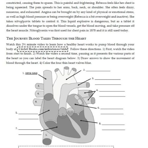 1. Engaging homeschool heart health activity with an interactive heart diagram, educational video, and myocardium-focused lesson for kids studying human anatomy at homeschool resources.