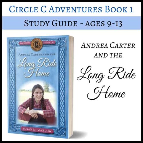 LRH guide Engaging homeschool book cover for "Andrea Carter and the Long Ride Home" for ages 9-13, promoting literacy, school resources, and educational books for homeschool families.