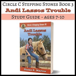 Andi Lassos Trouble Study Guide