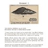 Mock-Primary-source-documents.pdf-33.png Birds fishing near Brightwood Island, coastal wildlife, natural animal behavior, environmental conservation, homeschooling science resources, nature observation.
