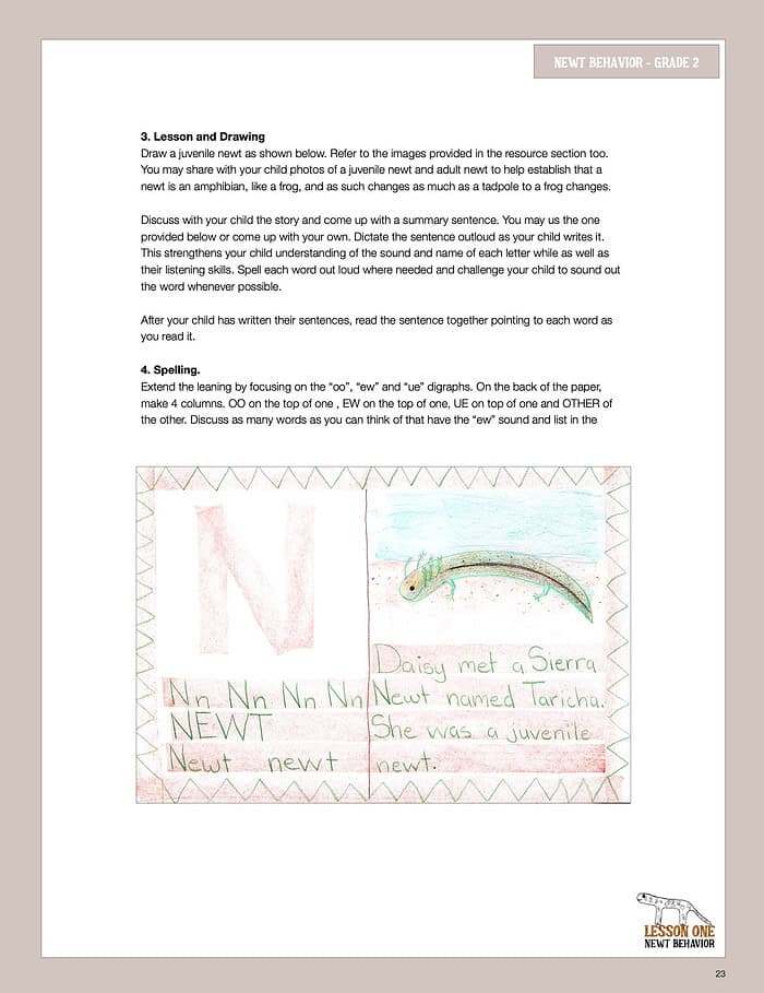 Nature School Unit Study for Grades 1-3: Newts