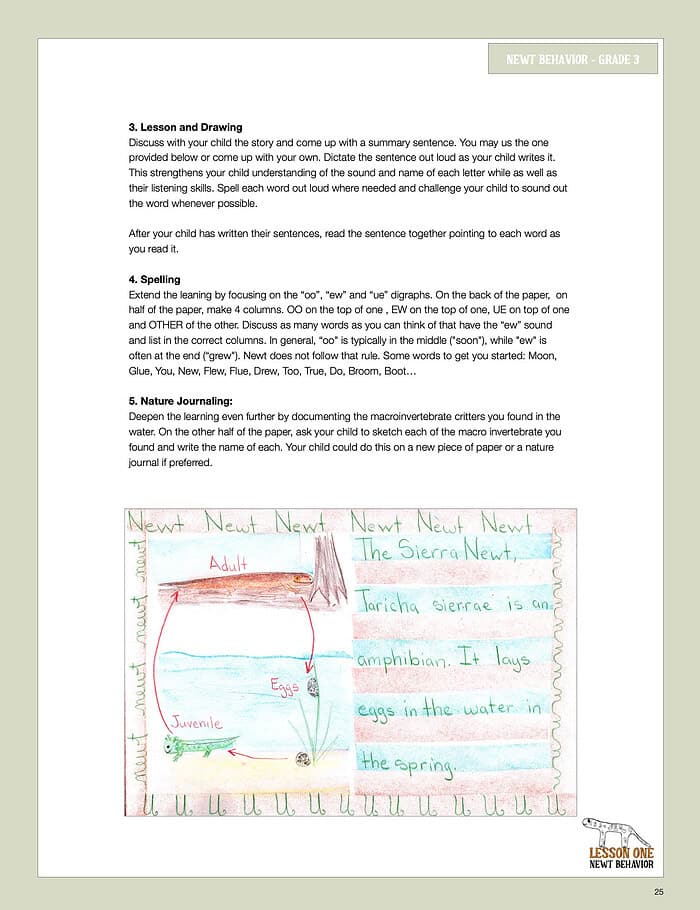Nature School Unit Study for Grades 1-3: Newts