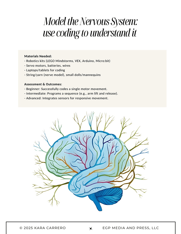 Pollyanna.zip-30.png Brain model illustration for homeschooling neuroscience, coding, and STEM education using nerve system visuals.