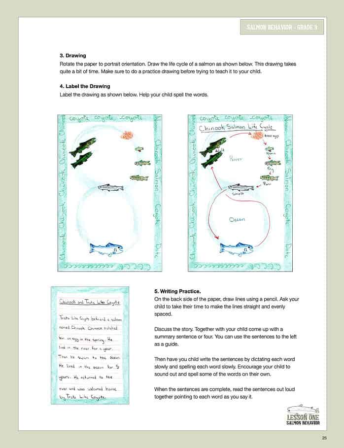 Nature School Unit Study for Gr. 1-3: Owls