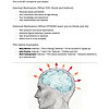 Screen-Shot-2025-09-17-at-10.29.48-AM.png Passive Voice, Homeschool Resource Co.