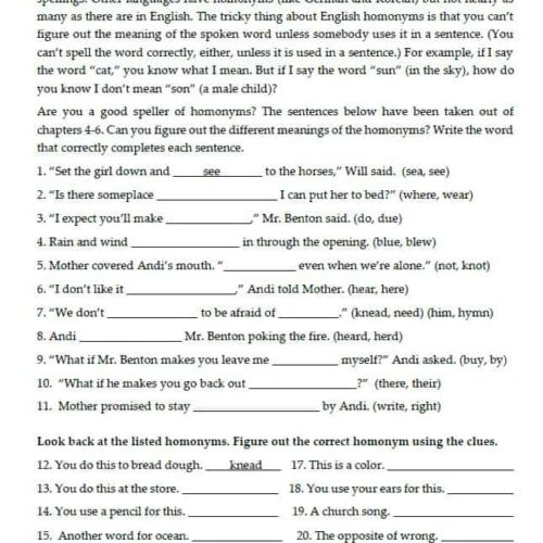 Sets of homonyms worksheet with sentences, suitable for homeschool learning and language practice, easy to print and use at home, engaging educational resource for kids and parents.