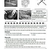 boh1 1. Tools used by gold prospectors including a sluice box, pickaxe, shovel, and panning pan for gold mining activities.