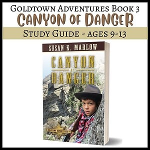 Canyon of Danger Study Guide