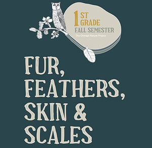 Nature School Curriculum for First Grade: Fur, Feathers, Skin and Scales