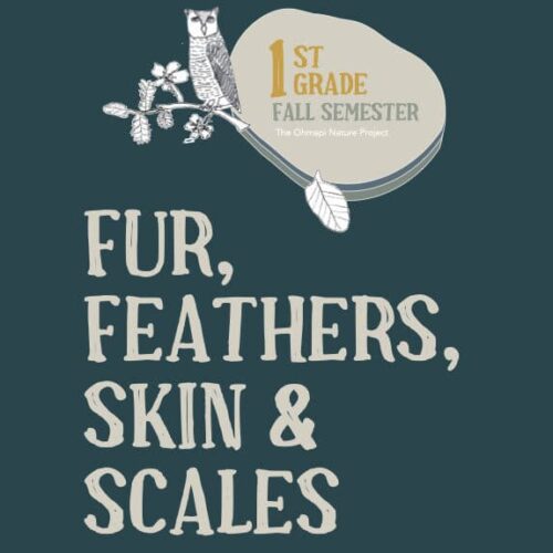 cropped-COVER-OF-FALL.jpg 1. First grade fall semester homeschool curriculum focusing on fur, feathers, skin, and scales, suitable for homeschool resource centers and nature project-based learning.