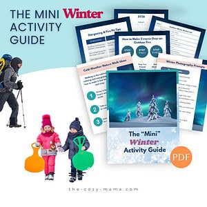 The Mini Activity Guide