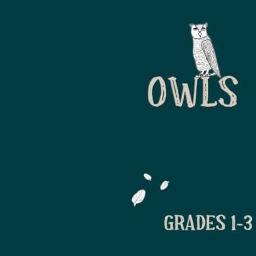 cropped-owls-stand-alone-cover.jpg Brightly illustrated owl-themed homeschool resource for grades 1-3, perfect for engaging young learners in early education and homeschool curriculum planning.
