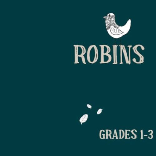1. Homeschool Robins curriculum for grades 1-3, engaging educational resources for early learners, perfect for homeschool families seeking quality lesson plans and activities.