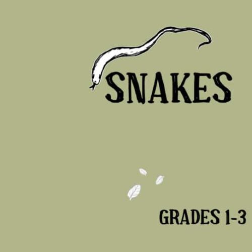 A white snake illustration with the text "Snakes" and "Grades 1-3" on a green background for homeschool science curriculum.