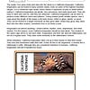 dd1 California king snake, educational science resource, homeschooling, pet snakes, reptile learning, nature study, classroom activity, homeschool science tools, wildlife education, homeschool curriculum.