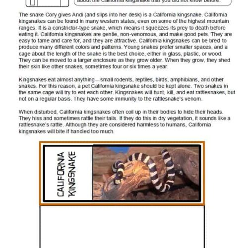 California king snake, educational science resource, homeschooling, pet snakes, reptile learning, nature study, classroom activity, homeschool science tools, wildlife education, homeschool curriculum.