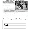 dd3 Homeschool resource Co., homemade berry ink, DIY ink recipe, homeschooling craft, creative writing supplies, educational activities for kids.