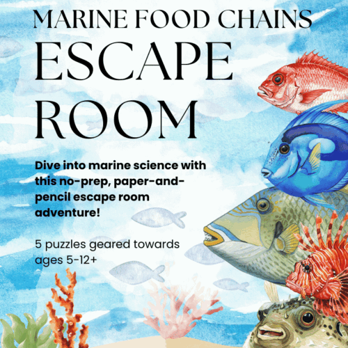 Marine science homeschool activity with paper-and-pencil marine food chains escape room adventure for ages 5-12, featuring underwater ocean creatures and educational puzzles.