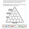Reef ecosystem balance scale educational chart for homeschool science lessons, promoting interactive learning on food chains and ecological pyramid rules.