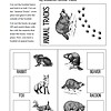 mt3 Raccoon, beaver, rabbit, fox, deer, and bear animal tracks matching activity for homeschooling and educational resources.