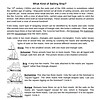 one1 Sailing ship diagrams for homeschool science lessons, featuring different types of vessels like sloops, schooners, brigs, barkentines, and ships, perfect for educational homeschooling resources.