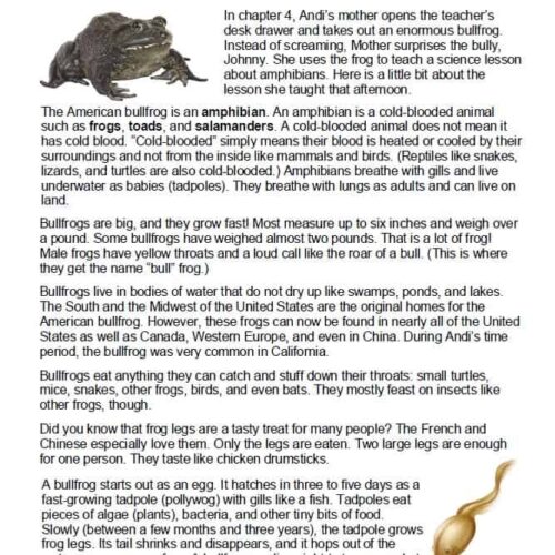 Amphibian frog, bullfrog, homeschool science lesson, educational resource, homeschool science activity, teaching amphibians, homeschool extracurricular, science curriculum for kids, homeschool lesson plan, amphibian biology.