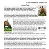 saddle Saddle and horse tack teaching resource featuring detailed images of saddle, bridle, reins, halter, and bits for homeschooling educational use.