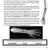 Broken arm x-ray image showing the humerus, ulna, and radius bones with a visible fracture, part of an educational resource about understanding arm injuries, bones, and anatomy for homeschooling science lessons.