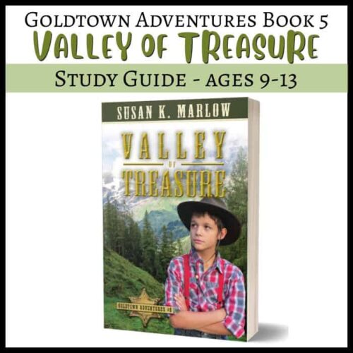 Brightly colored homeschool study guide titled "Valley of Treasure" for ages 9-13, featuring a young boy in a plaid shirt and hat outdoors, surrounded by mountains and trees. Logo of Homeschool Resource Co. at the top, helpful for homeschool planning and educational resources.