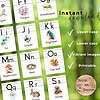 2 Bright educational alphabet flashcards featuring vibrant images of nature, insects, and animals, perfect for homeschooling resources, early learning, and teaching uppercase and lowercase letters.