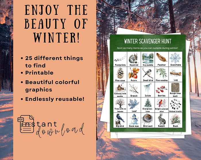 2 Winter Scavenger Hunt, Printable Outdoor Activity for Families and Kids; Instant Download PDF