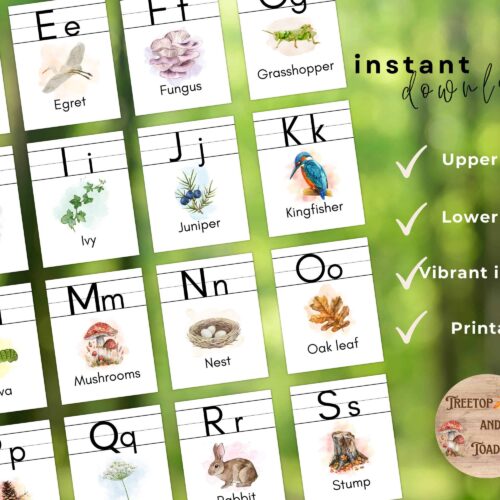 Bright educational alphabet flashcards featuring vibrant images of nature, insects, and animals, perfect for homeschooling resources, early learning, and teaching uppercase and lowercase letters.