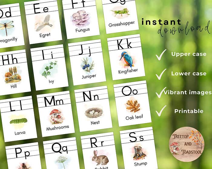 2 Bright educational alphabet flashcards featuring vibrant images of nature, insects, and animals, perfect for homeschooling resources, early learning, and teaching uppercase and lowercase letters.