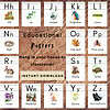 3 Colorful alphabet educational poster with nature-themed illustrations for kids, perfect for homeschool classroom decor, featuring animals, plants, and insects to enhance early childhood learning and literacy skills.