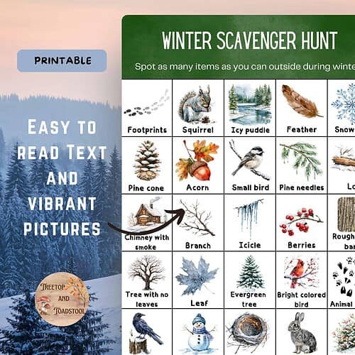 3 Winter Scavenger Hunt, Printable Outdoor Activity for Families and Kids; Instant Download PDF