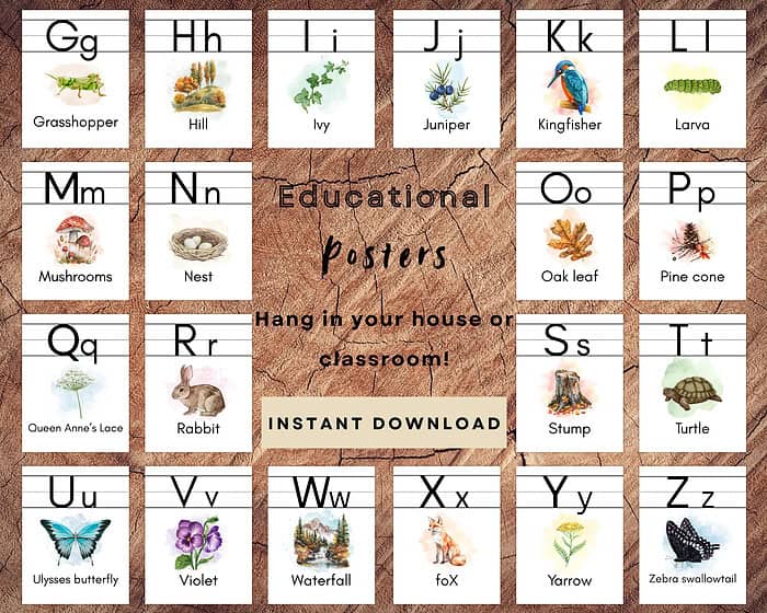 3 Colorful alphabet educational poster with nature-themed illustrations for kids, perfect for homeschool classroom decor, featuring animals, plants, and insects to enhance early childhood learning and literacy skills.