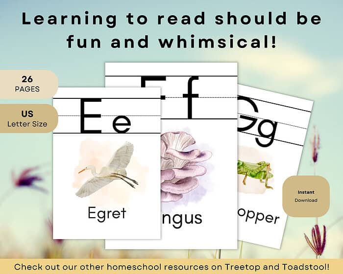 5 Learn to read with fun, whimsical alphabet flashcards featuring animal and nature illustrations, perfect for homeschooling resources and early literacy development.