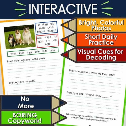 Sit dogs big pups grass bigger biggest, short daily practice, visual cues for decoding, No More Boring Copywork!.